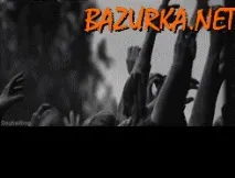 защо защо