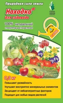 петербург НАМЕРЕТЕ ГРАДИНАР
