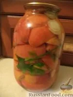 домати снимки