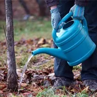 поливане поливане