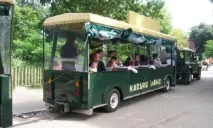 Пора осінніх канікул, куди можна поїхати разом з дитиною осінніх