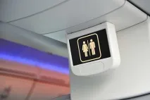 стюартите