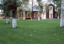 Корисні статті, озеленення - квітковий портал Ваш Сад! корисні