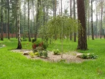 Корисні статті, озеленення - квітковий портал Ваш Сад! квітковий
