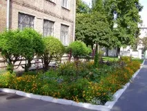Корисні статті, озеленення - квітковий портал Ваш Сад! корисні