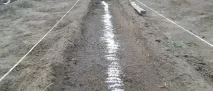 Посів буряків, Вирости сад! буряків