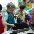 Експеримент у старшій групі «Посадка насіння» експеримент