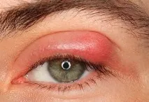 erythromycin инструкции