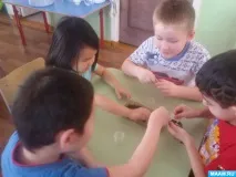 Експеримент у старшій групі «Посадка насіння» насіння