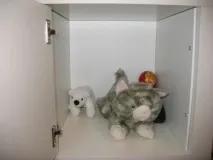 експедит