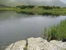 Їдемо на вихідні до Карпат де зняти і скільки коштує житло в горах влітку — Культура — Новини їдемо