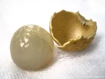 Екзотичні фрукти цього
