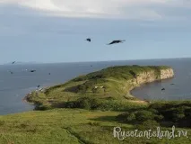українського