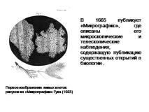 темата робърт