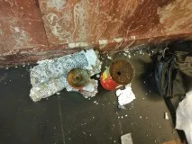 Імовірно, це фото знешкодженої бомби на станції метро - Площа Повстання. бомби