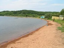 українського