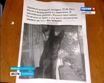 Пропав собака поводир, Державна телерадіокомпанія «Татарстан» поводир