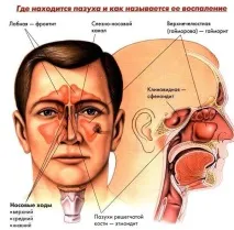 мозку