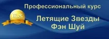 Професійний курс Летючі Зірки Фен Шуй, Навч. можна