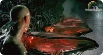 стратегия свобода