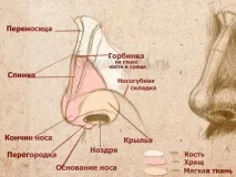 носа снимка тумори
