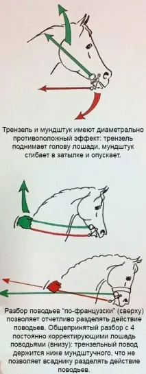лентата разбор