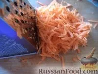 зимата зимата