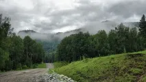 немає