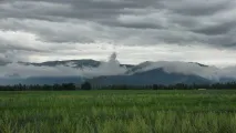 немає