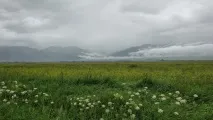 алтай
