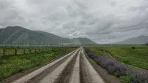 немає