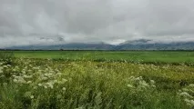 республіка