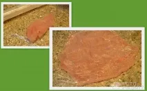 Рецепт Рулет з курячої грудки, з грибами та чорносливом рулет