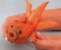 рибка