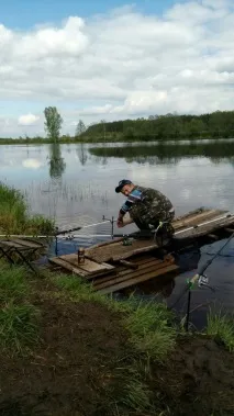 приятел приятел