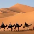 Сарай () 7 букв - пошук слів за маскою та визначенням, відповіді на сканворди слів