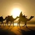 Сарай () 7 букв - пошук слів за маскою та визначенням, відповіді на сканворди слів