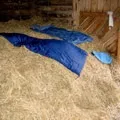 Сарай () 7 букв - пошук слів за маскою та визначенням, відповіді на сканворди визначенням