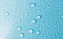 Роль води у клітці клітці
