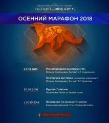 забележител забележител