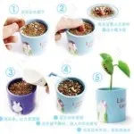 seeds magic