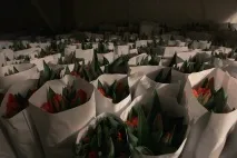Секрети флористів як продовжити життя квітам - Новосибірськ продовжити