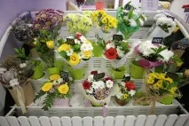 Секрети флористів як продовжити життя квітам - Новосибірськ секрети