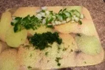 краставица снимка