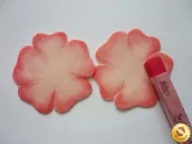 клас майсторски