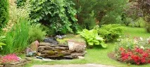 хабаровск домати