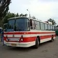 автобус автобус