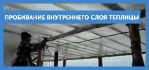 оранжерийна оранжерийна