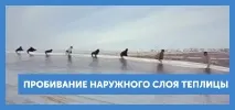 общност оранжерийна