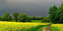 Сонник погода до чого сниться погода уві сні сонник